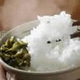 【訳あり!】20年産 業務用新潟こしひかり 9kg入り - 縮小画像3