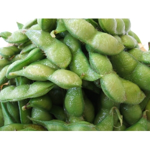 枝豆の王様山形県庄内産「だだ茶豆」たっぷり3kg 激安販売