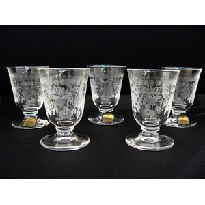 �y���ʌ���I�M�t�g�ɍœK��z�_�j�G���N���X�^���̗���O���X5�q�Z�b�g