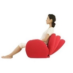 ���ՃP�A�\�t�@ Airly Shape Smart�i�G�A���[�V�F�C�v�X�}�[�g�j AIM-FN007 ���b�h �摜5