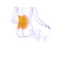 ���ՃP�A�\�t�@ Airly Shape neo(�G�A���[�V�F�C�v�l�I) AIM-FN005 �_�[�N�u���E��