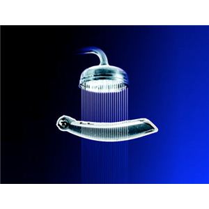 PHILIPSʥեåץ ܥǥ롼ޡ TT20404