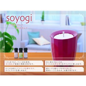 CARL TECHNOʥƥΡ soyogi ޶ AAP-300W ۥ磻Ȳ