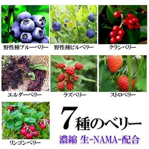 生-NAMA-7種のベリー 大容量5ヶ月分