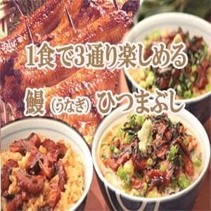 のし付き（名入れ不可）　2009年お歳暮ギフト限定 【うなぎ割烹「一愼」鰻のひつまぶし】 12月23日(水)受付分まで年内配送!