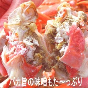 ڿȴAʡۥʥܥ륺磻˻ѡ500g26