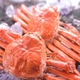 【身入り抜群のA級品！】カナダ産ボイルズワイガニ姿・約500g×2尾 冷凍ズワイ蟹 - 縮小画像1