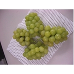 ��10��10���ǽ�λ��Ĺ����֤ɤ��ʥ����ꥪ �ӥ��󥳡� 2kg��4��5˼��