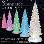 【Shiny Tree　シャイニーツリー】