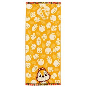 ディズニー チップ&デール どんぐり フェイスタオル 【2セット】