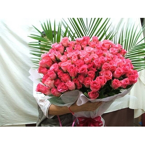 ���؁I���I�A�o���P�O�O�{�ԑ������ݑ��t��