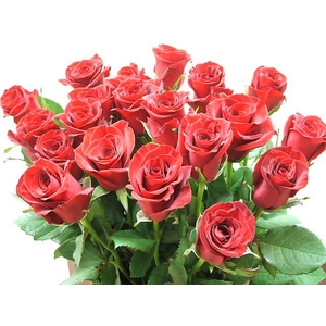 赤バラ花束のミニブーケ