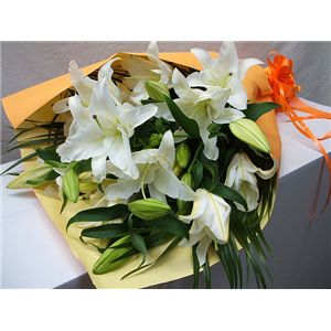 【母の日限定販売】カサブランカの花束 花(ツボミ)総数15輪以上