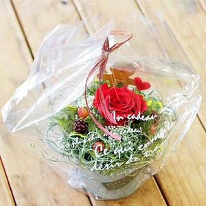 プリザーブドフラワーアレンジメント ローズ 