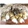築地魚河岸から直送、魚河岸仲買人厳選の食材ブラックタイガー (1.8kg)