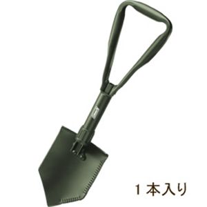 ColemaniR[}j ~^[Vx 170TA0049 摜P