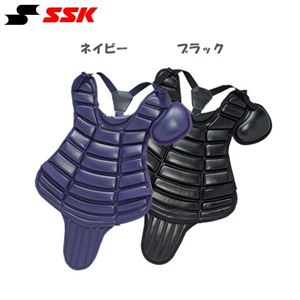 SSKiGXGXPCjdNpveN^[ CKPJ100 ubN 摜P