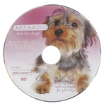 ̂߂DVD / ȂȂƂ̂߂