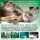 猫のためのDVD / あなたがいないときのために　 - 縮小画像2