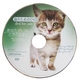 猫のためのDVD / あなたがいないときのために　 - 縮小画像5