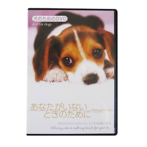 愛犬の健康を守る天然のサプリメント『ローヤルゼリー・ワン』×3　お留守番用DVDセット