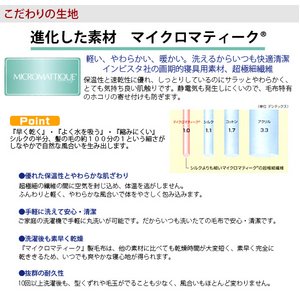 【日本製】『ダクロン(R)クォロフィル(R)アクア中綿』・『マイクロマティーク(R)側生地』使用 洗える合い掛け布団　ジュニアサイズ 綿100% 商品写真5