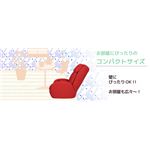 ツカモトエイム porto（ポルト） マッサージソファ AIM-300 ビターブラウン
