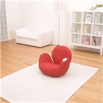 ���ץ������ե� Airly Shape �ʥ����꡼�������ס� AIM-FN001 ��å�