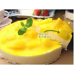 �쥢�������������ʥۡ���˿�������3�糧�å� �ʥץ졼��/�֥롼�٥꡼/�ޥ󥴡���