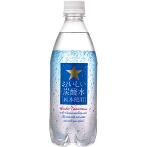 サッポロ おいしい炭酸水[純水使用]  500mlPET 48本セット (2ケース)