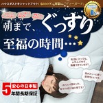 ディーガード防ダニ布団セット　セミダブル　アイボリー