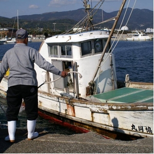 豊後水道　別府湾産ちりめん　１袋１００ｇ×５袋入り