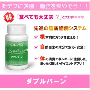 �V�^�C�v�̃_�C�G�b�g�T�v�������g �y�_�u���o�[���z��b��ӂ��グ�đ���ɂ����J���_�ցE�E�E!