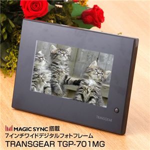 ڶ̳ѡTRANSGEAR 7磻ɥǥեȥե졼