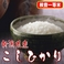 【味と価格に自信アリ!】極上一等米!平成21年産 新潟県産こしひかり白米10Kg(5kg×2)