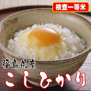 【期間限定超特価!】極上一等米!平成21年産 福島県産こしひかり白米10Kg(5kg×2) - 拡大画像