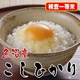 【お中元用 内のし付き（外箱には貼られません 名入れ不可）味と価格に自信アリ!】厳選一等米!平成21