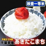 【味と価格に自信アリ！平成22年産新米】極上一等米！　千葉県産あきたこまち白米5Kg