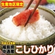 ̣Ȳʤ˼ꡪʿ22ǯʡ縩Ҥ긼20Kg5kg4