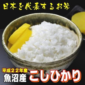 【平成22年産新米 味と価格に自信アリ!】魚沼産こしひかり 玄米5kg