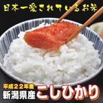 【平成22年産新米 味と価格に自信アリ!】新潟県産こしひかり 玄米20Kg（5kg×4）