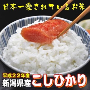 【お歳暮用 内のし付き(名入れ不可) 平成22年産新米 味と価格に自信アリ!】新潟県産こしひかり 白米20Kg(5kg×4)
