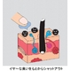 スメルスウィートクリーム 薬用消臭クリーム - 縮小画像4