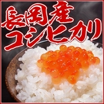 新潟県長岡産コシヒカリ10kg