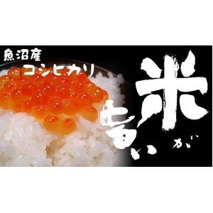 松田さんちの魚沼産コシヒカリ30kg（10kg×2袋+5kg×2袋）