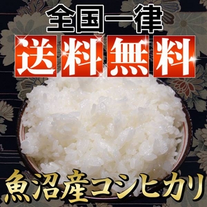 松田さんちの魚沼産コシヒカリ20kg(10kg×1袋+5kg×2袋)