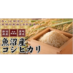 松田さんちの魚沼産コシヒカリ20kg(10kg×1袋+5kg×2袋)