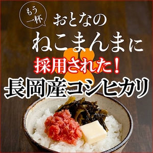 平成21年産 中村さんちの新潟県長岡産コシヒカリ白米 5ｋｇ