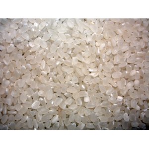 生活応援米 白米10kg 【竹】（5kg×2袋）