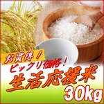 生活応援米 白米30kg  【梅】（10kg×3袋）